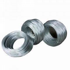 Galvanized Iron Wire