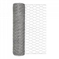 Hexagonal Wire Mesh