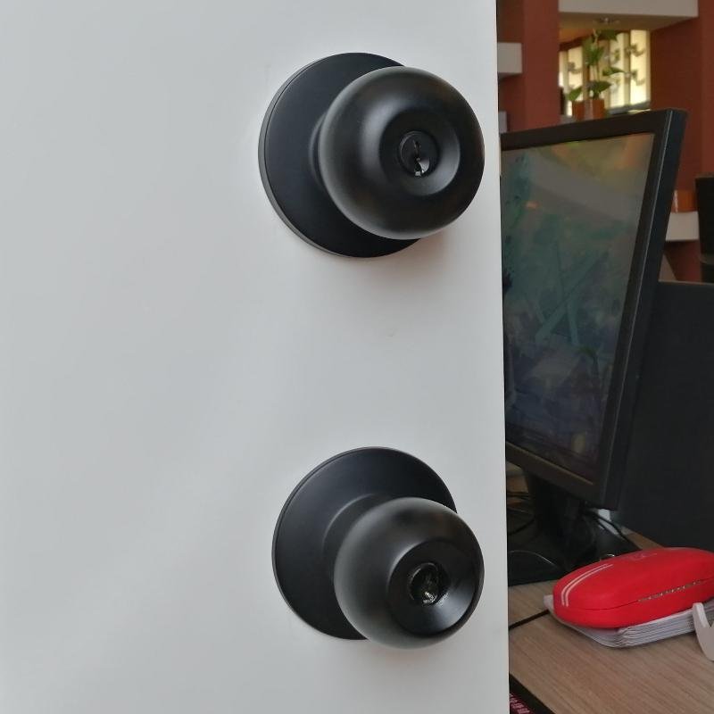 Door Knob lock with Keys, Bedroom-Door Knob Lock, Entry Door Handle Matte Black 5