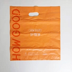 Biodegradable Shopping Bag