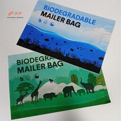 Biodegradable Mailer Bag