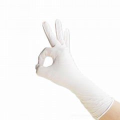 12" Class 10000-10 Cleanroom Nitrile Gloves