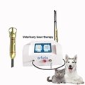 980nm 1470nm physical therapy laser machine for pet cay dog 1