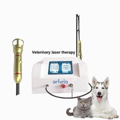 980nm 1470nm physical therapy laser machine for pet cay dog