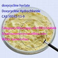 Doxycycline hydrochloridesupplierinChina