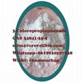 3-Chloropropiophenone supplier in China 3