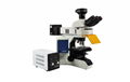 Research-level upright fluorescence microscope MF43-N 1