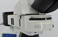 Research-level upright fluorescence microscope MF43-N 2