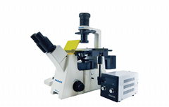 Inverted fluorescence microscope MF53-N