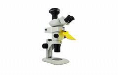 Scientific grade stereo-fluorescence microscope MZX81