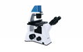 Inverted biological microscope with