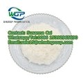 CAS 5413-05-8 Ethyl 2-Phenylacetoacetate liquid Pharmaceutical intermediates  3