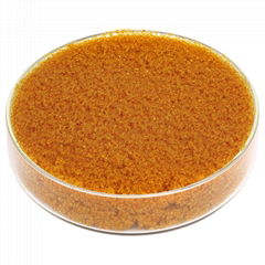 Ion Exchange Resin-Precious Metal Recovery-XPMR140