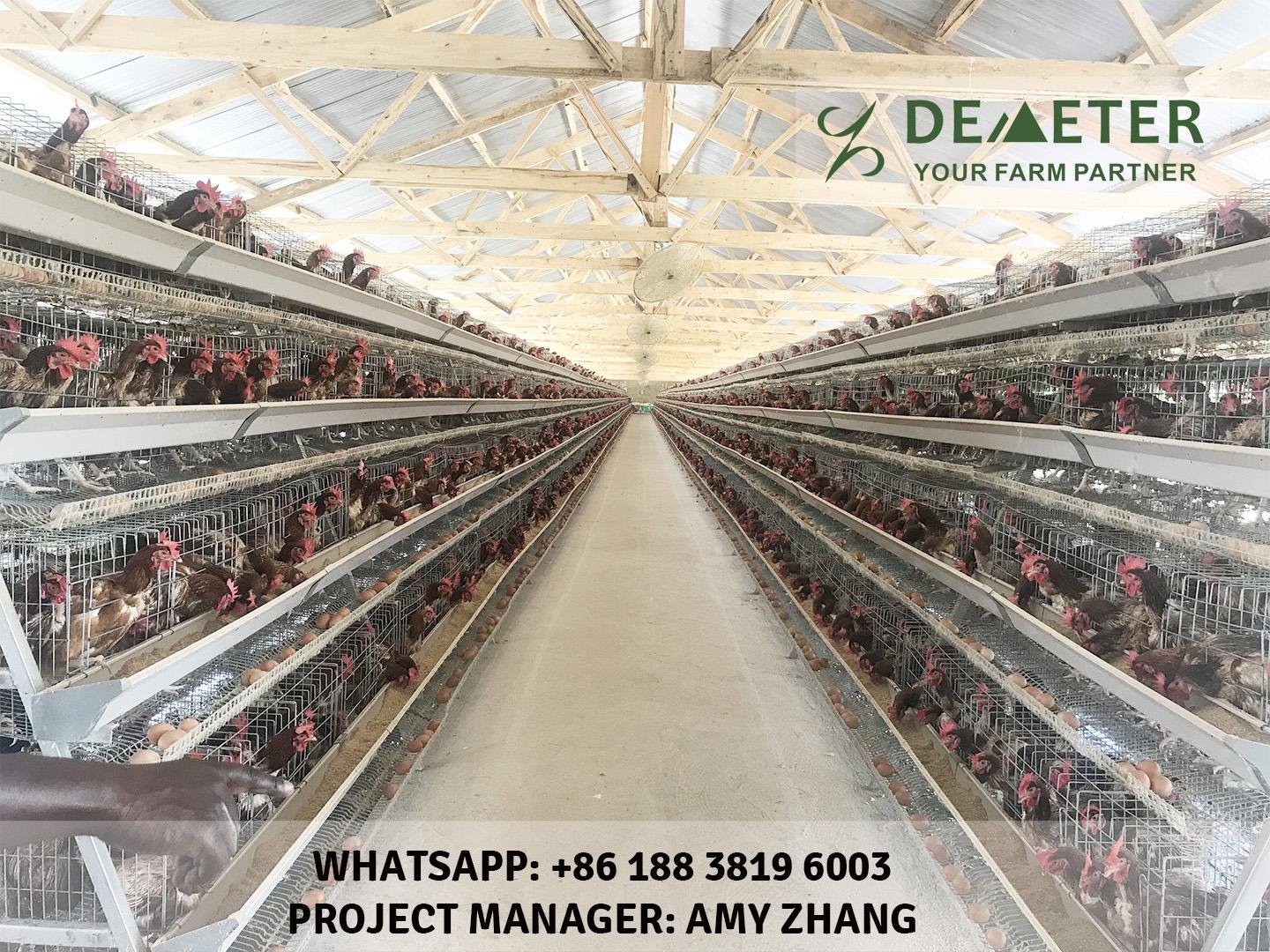 Layer Chicken cage for poultry farming equipment