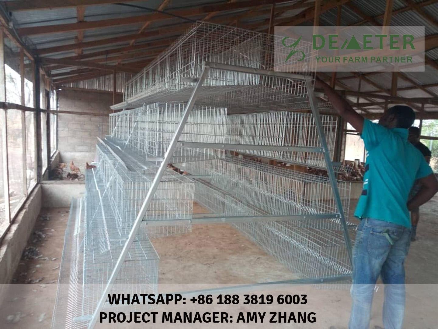 Layer Chicken cage for poultry farming equipment 3