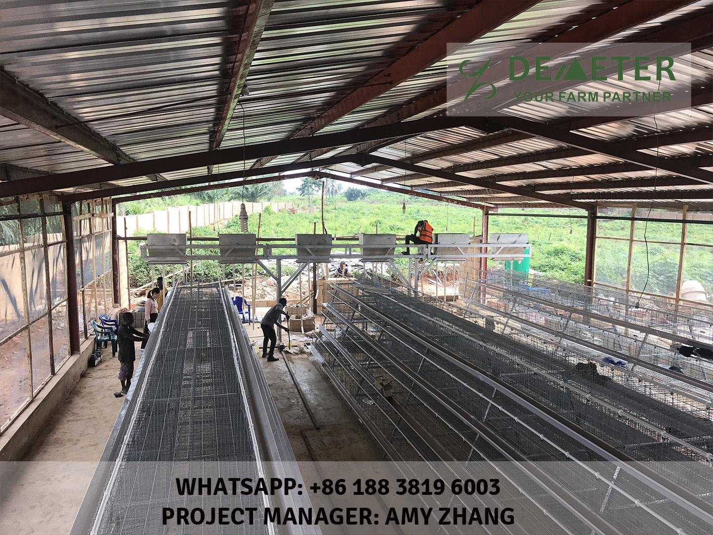 Layer Chicken cage for poultry farming equipment 4