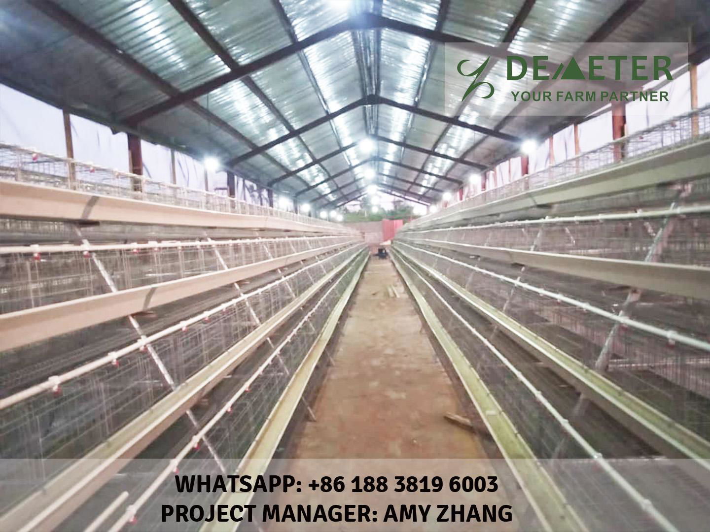 4-Tier A-type layer chicken cage, battery cage for poultry farming equipment 3