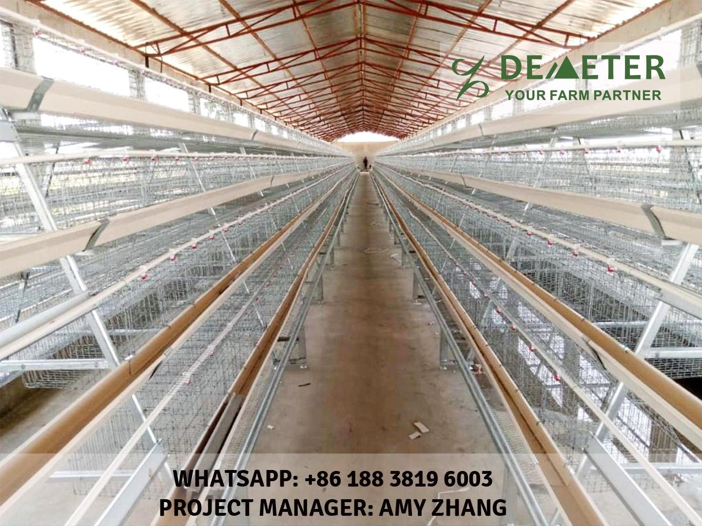 4-Tier A-type layer chicken cage, battery cage for poultry farming equipment 4