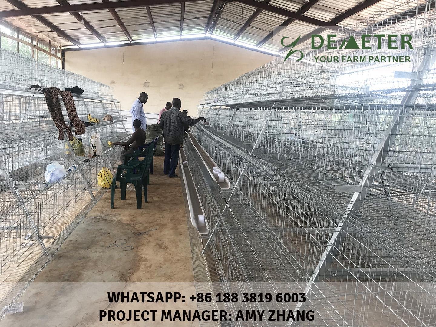 4-Tier A-type layer chicken cage, battery cage for poultry farming equipment 5