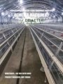 Poultry Farming (Layer chicken Farming with Cage and nipple drinking system ) 3