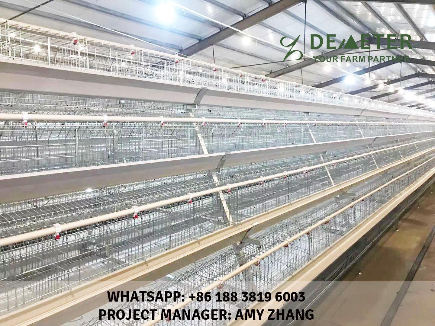 Chicken Layer Cages for Sale in Nigeria