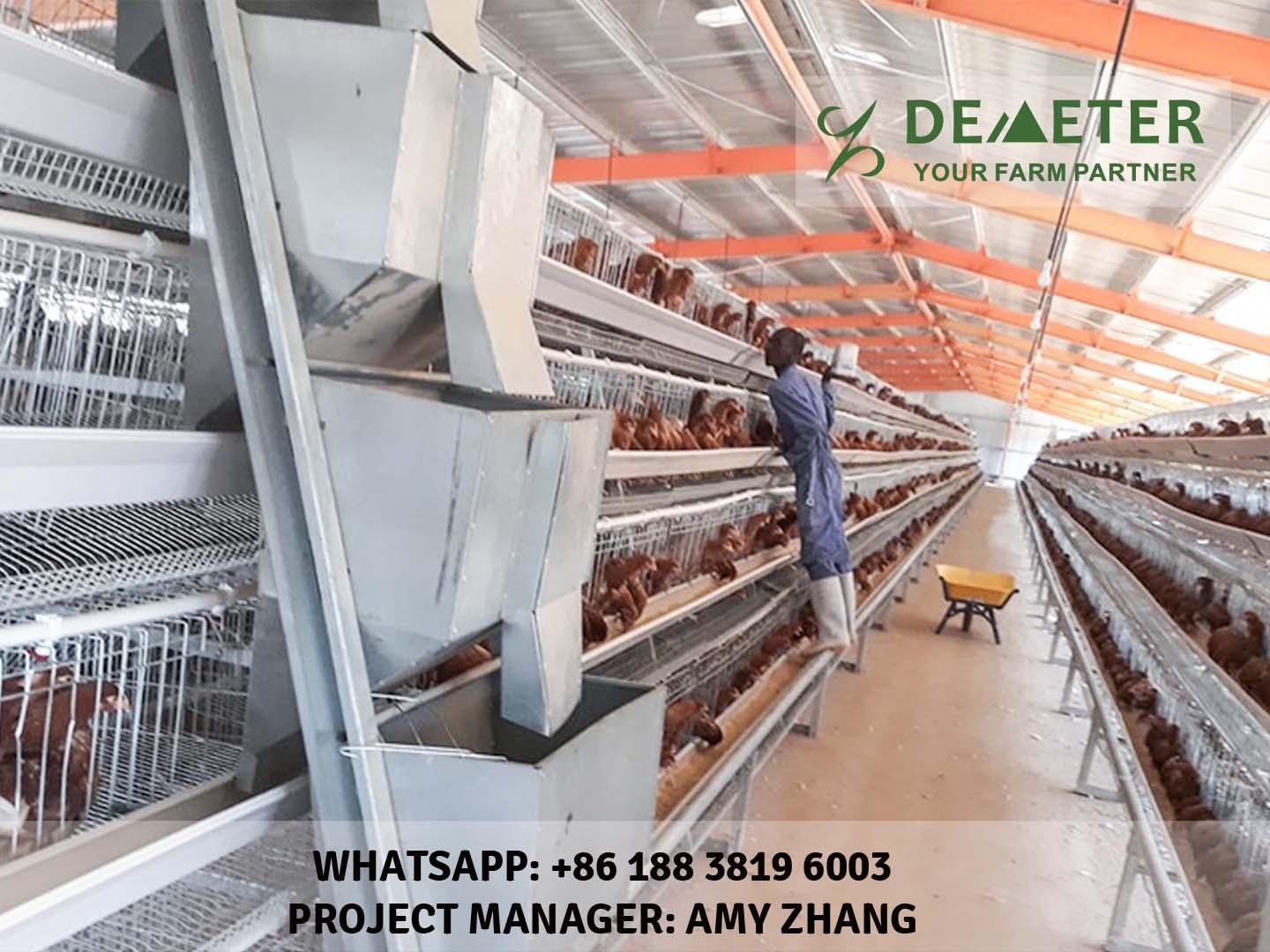 Chicken Layer Cages for Sale in Nigeria 4