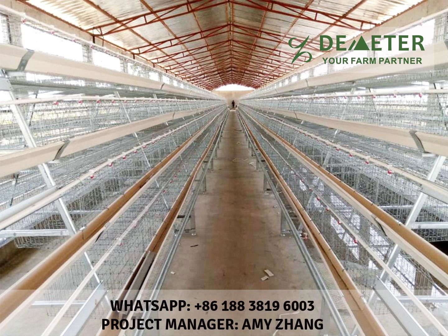 Chicken Battery Cage for Sale in Kenya 3