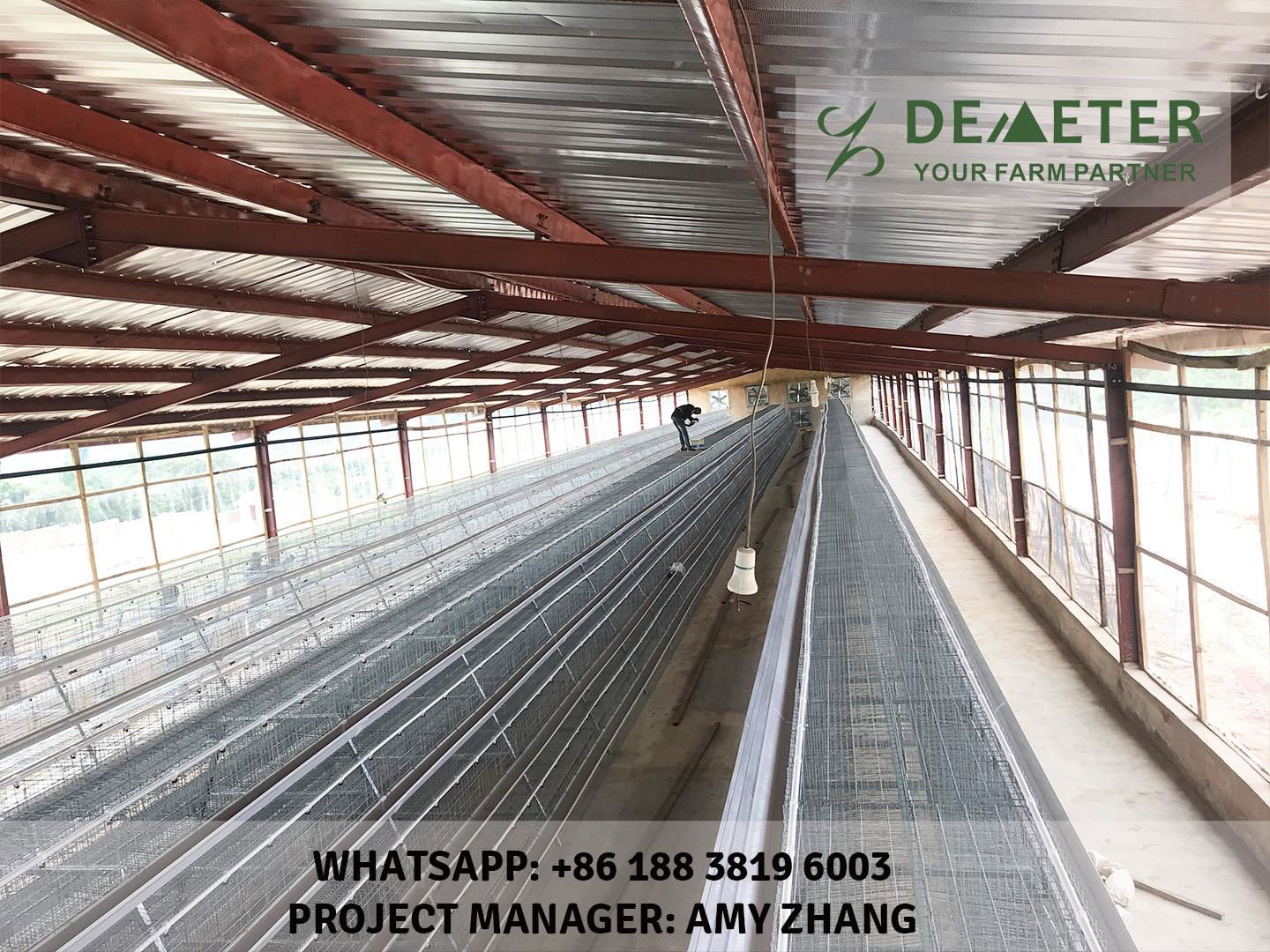 20000 birds layer chicken cage for sale in nigeria A 120 Demeter