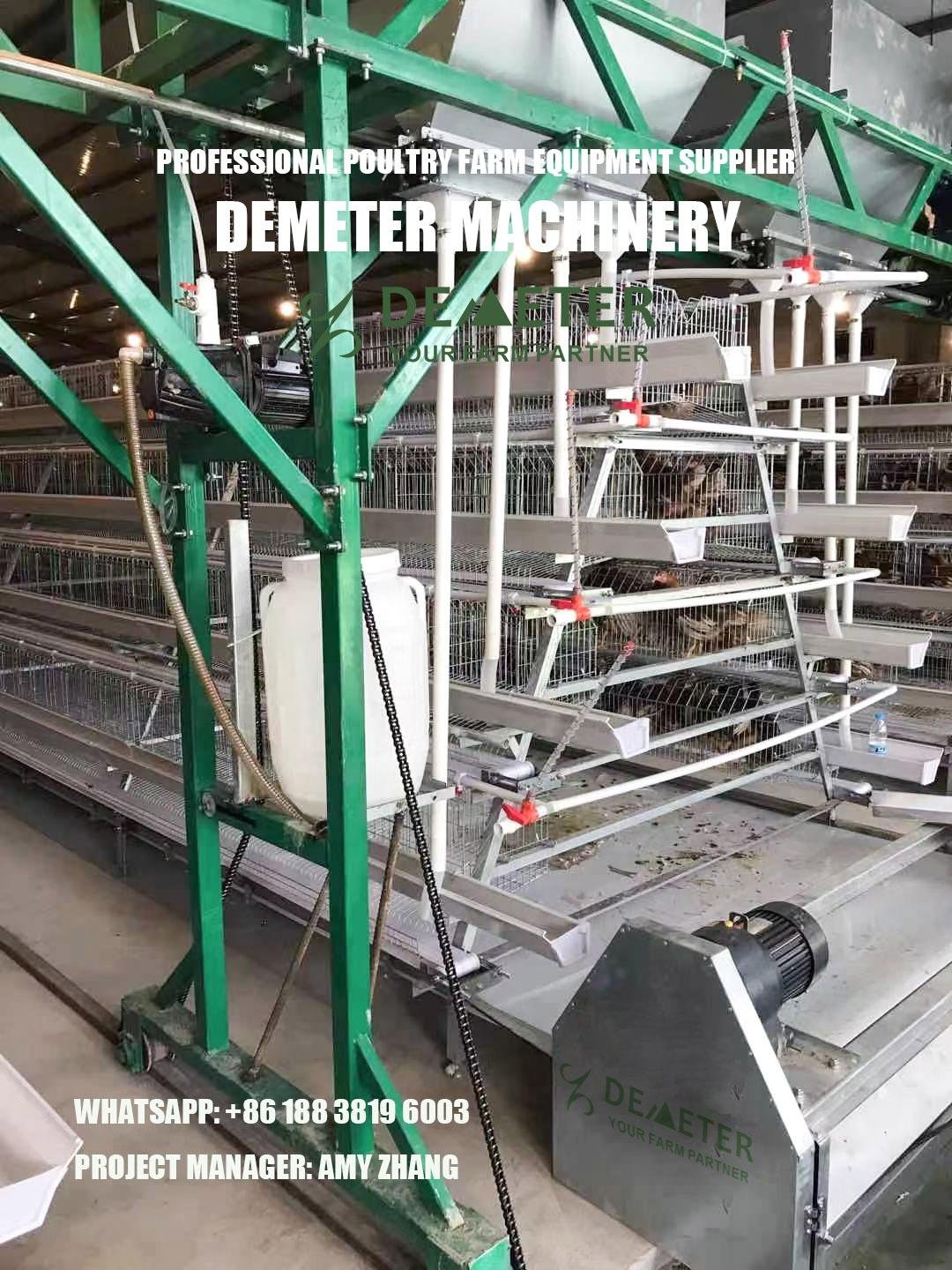 automated layer chicken cage and equipment abuja