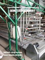 automated layer chicken cage and equipment abuja 1