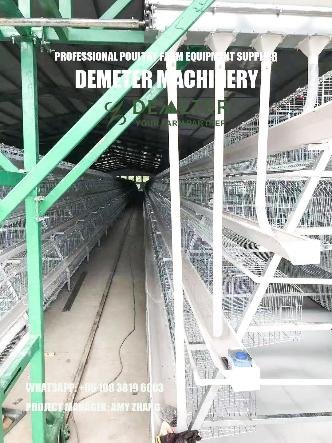 automated layer chicken cage and equipment abuja 3