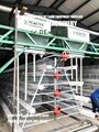 automated layer chicken cage and equipment abuja 4