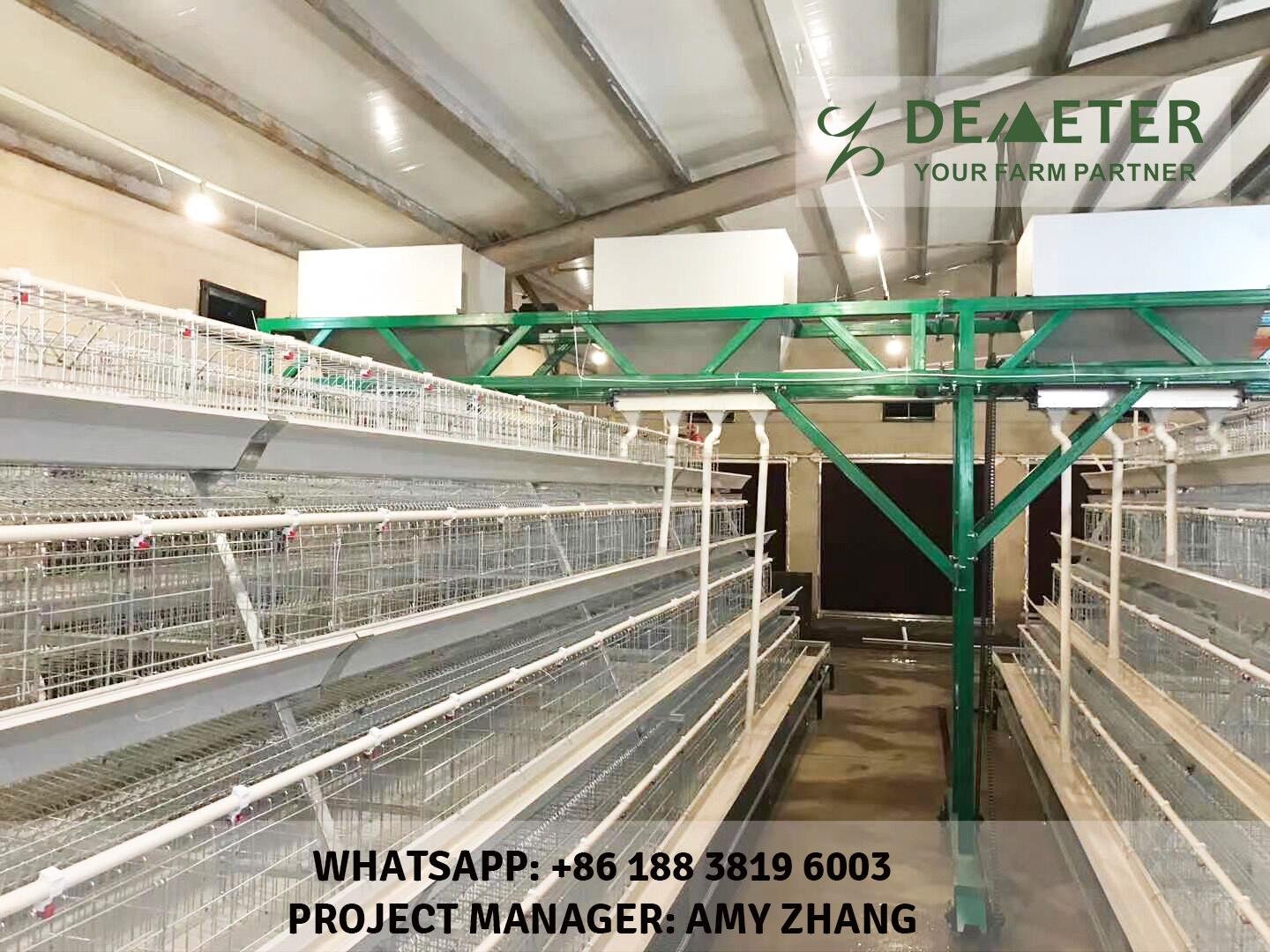 automatic chicken cages for sale commercial chicken cages