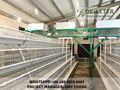 automatic chicken cages for sale