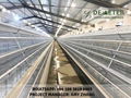 automatic chicken cages for sale commercial chicken cages