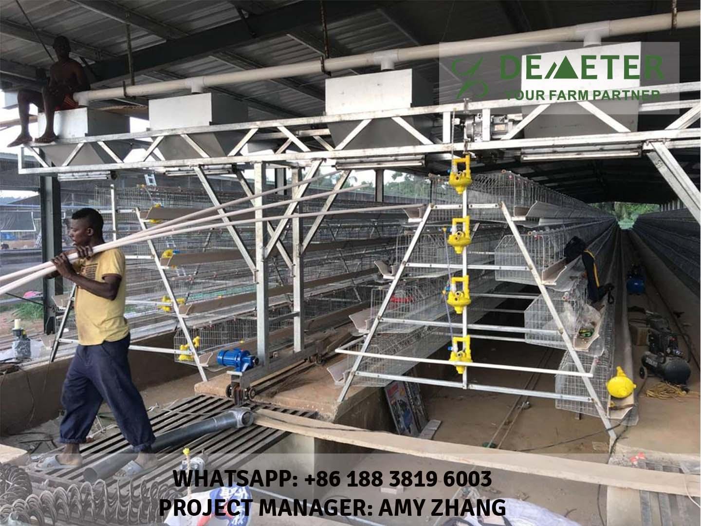 automatic chicken cages for sale commercial chicken cages 4
