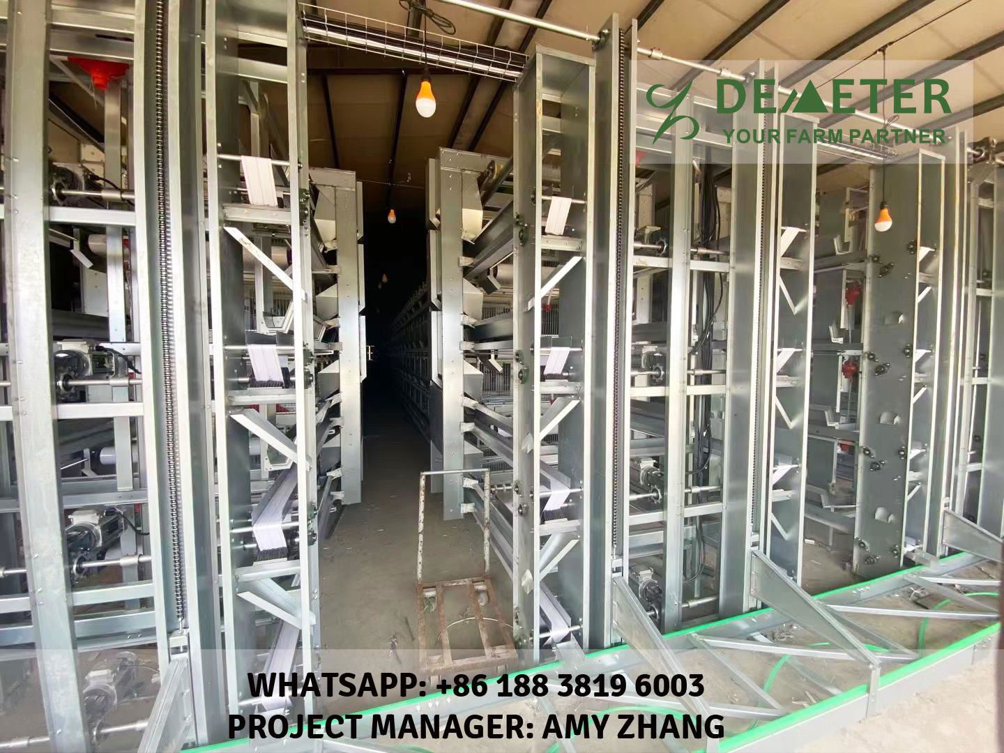 H-type automatic chicken cages for sale 2