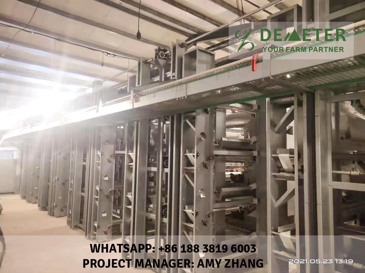 H-type automatic chicken cages for sale 4