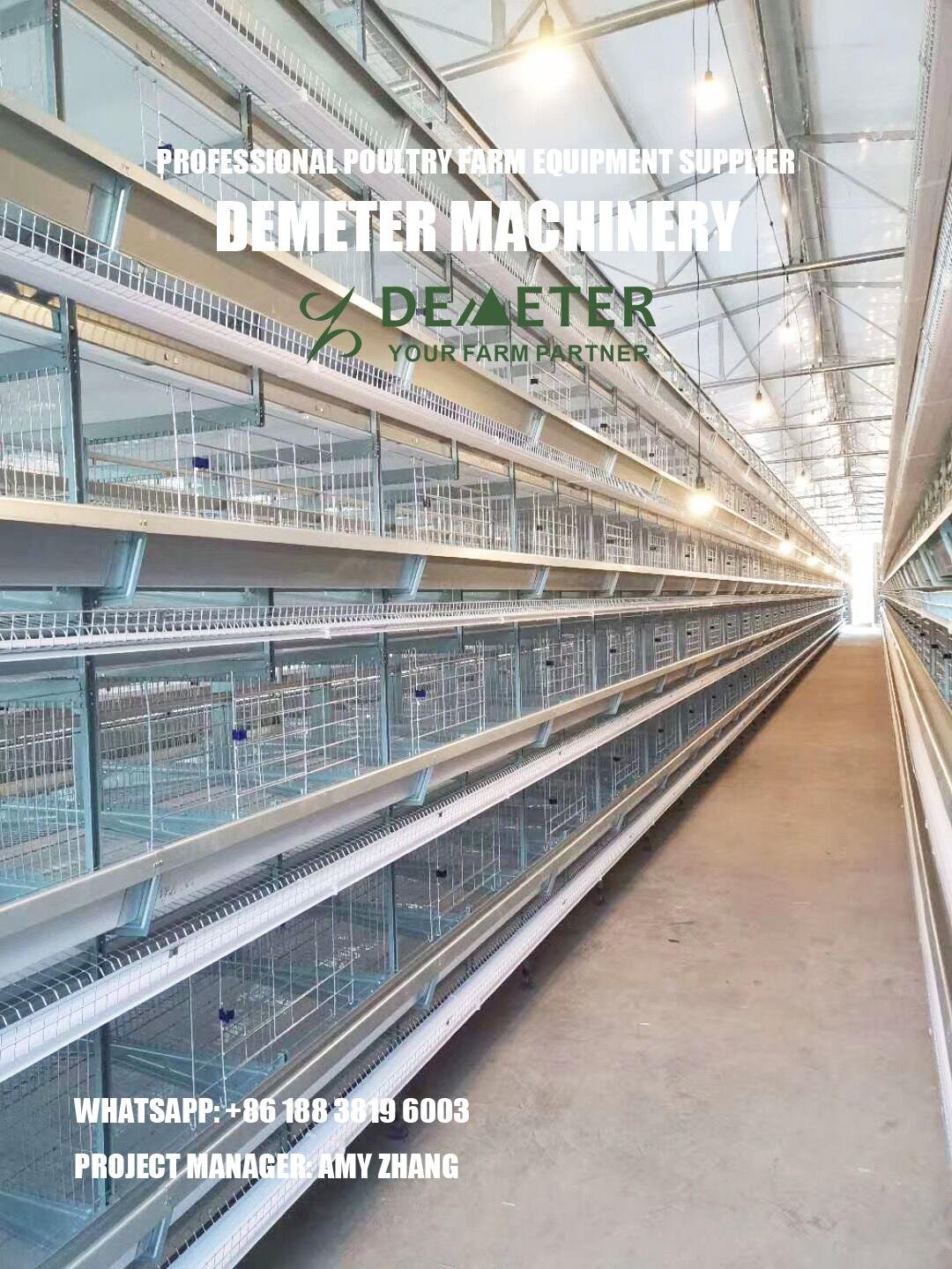 Poultry Farming Electric Chicken Poultry Cage 4