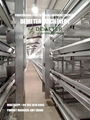 Chicken Poultry Cage for Commercial Layer Bird