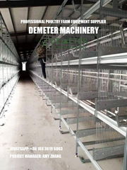 Ghana Layer Chicken Cage for Sale from Factory