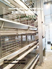 Battery Cage System Manufacturers & Supplier Layer Chicken Cage