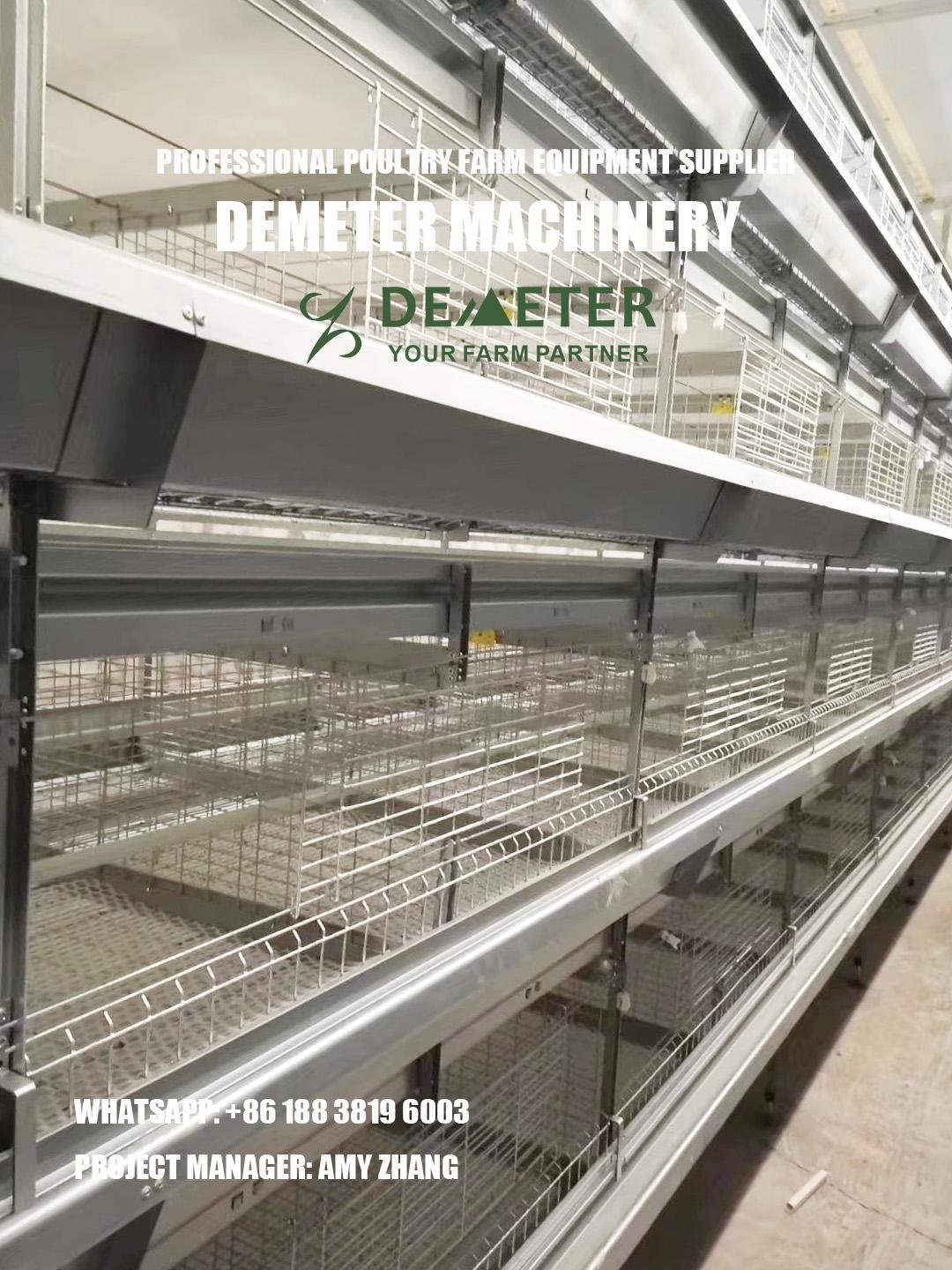 Broiler Chicken Cage for Sale in Nigeria