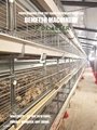 Broiler Chicken Cage for Sale in Nigeria 3