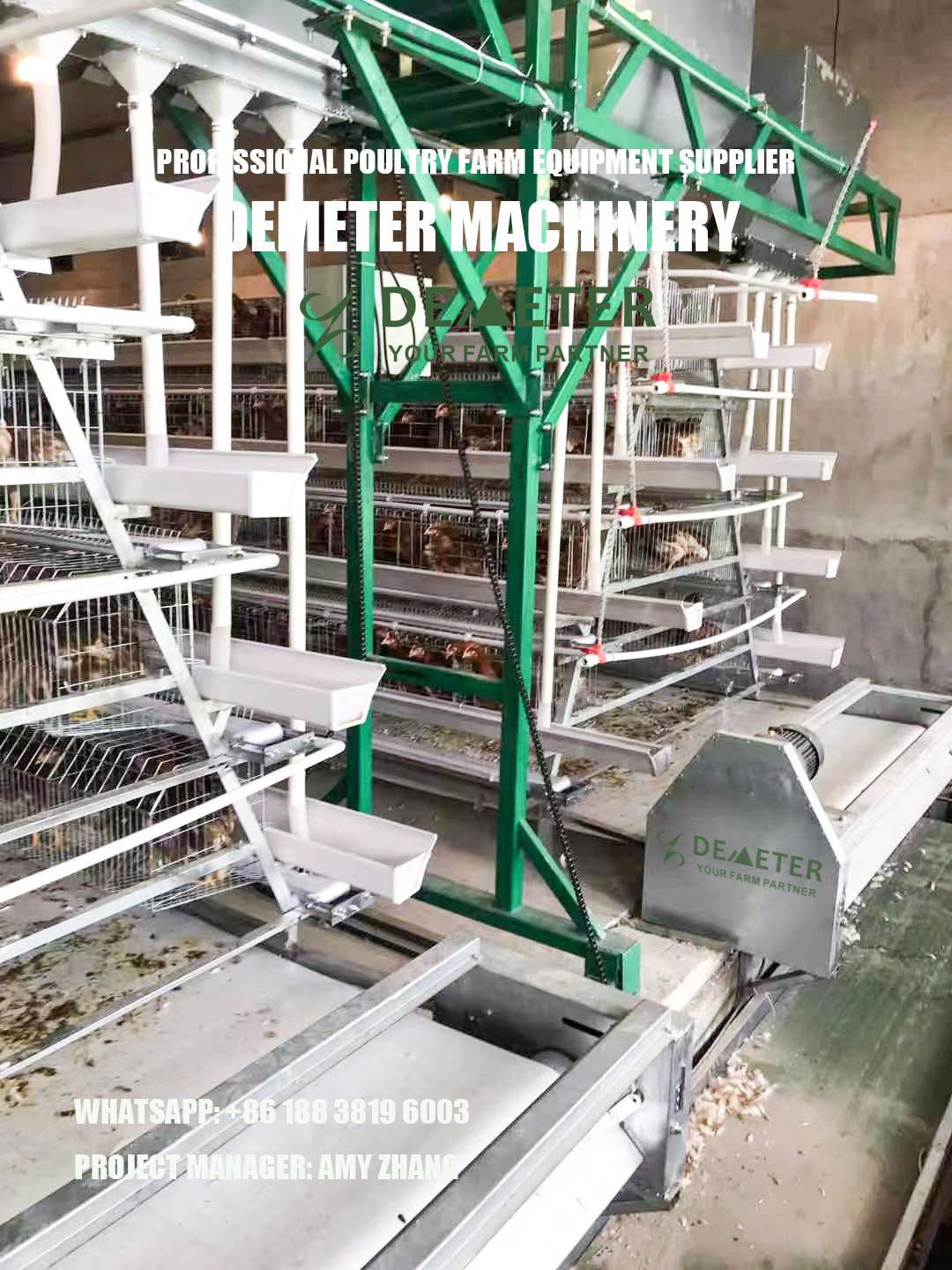 Hot Galvanized Automatic Chicken Cage Poultry Farm House Design 2