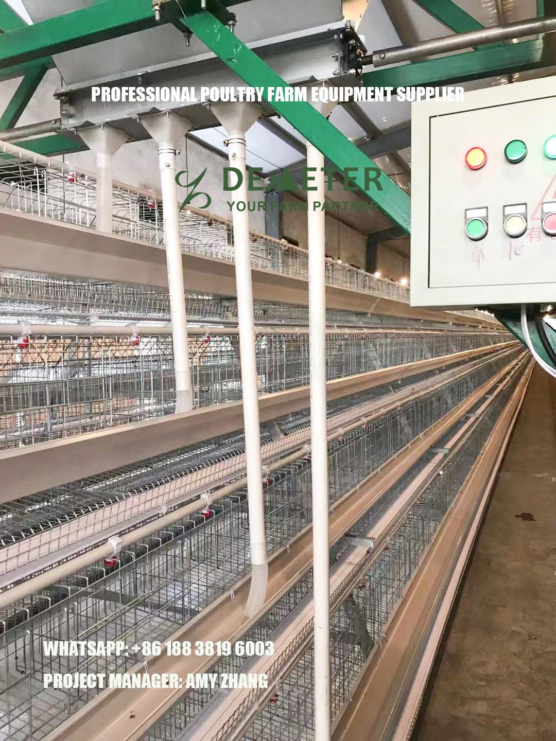 Hot Galvanized Automatic Chicken Cage Poultry Farm House Design 4