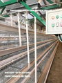 A- type 120 Layer Chicken Cage 3