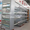 Chicken Cage Supplier H Type 160Birds Automatic Battery Chicken Cage System 2