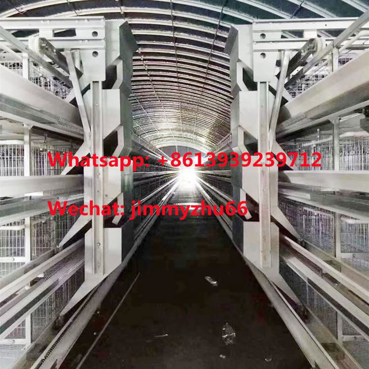 Chicken Cage Supplier H Type 160Birds Automatic Battery Chicken Cage System 3