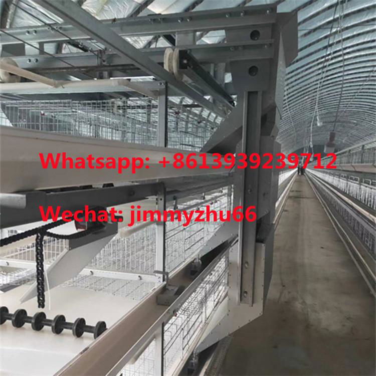 Chicken Cage Supplier H Type 160Birds Automatic Battery Chicken Cage System 5
